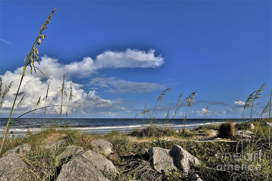 Fort Fisher Beach Photograph by Julie Adair