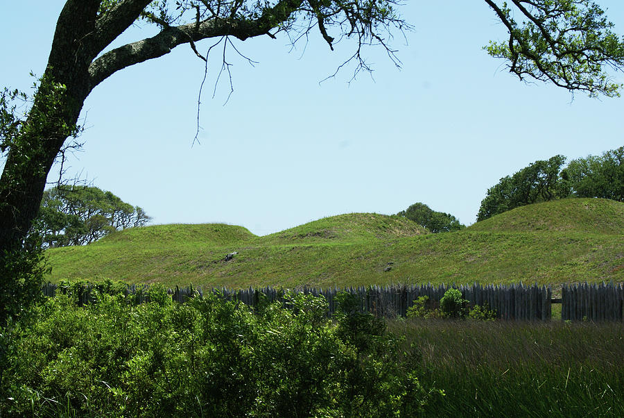 Fort Fisher Mound Battery Photograph by Heather E Harman
