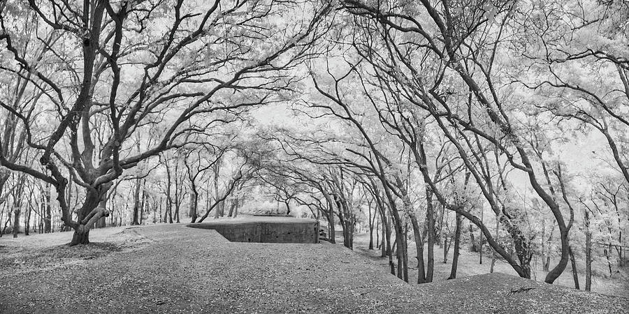 Fort Fremont Photograph by Jurgen Lorenzen
