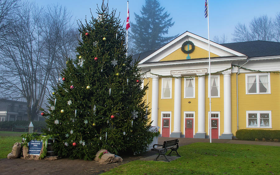 Fort Langley Christmas Tree Photograph by Joan Septembre