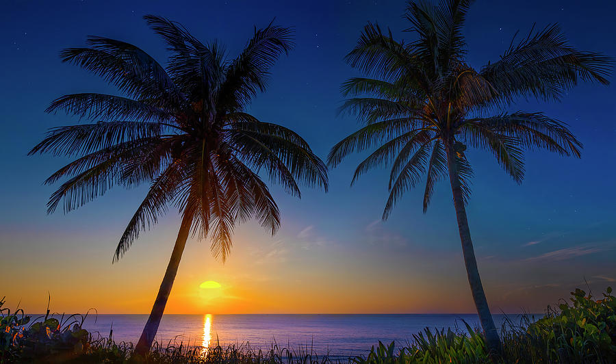 Fort Lauderdale Beach  Photograph by Mark Andrew Thomas
