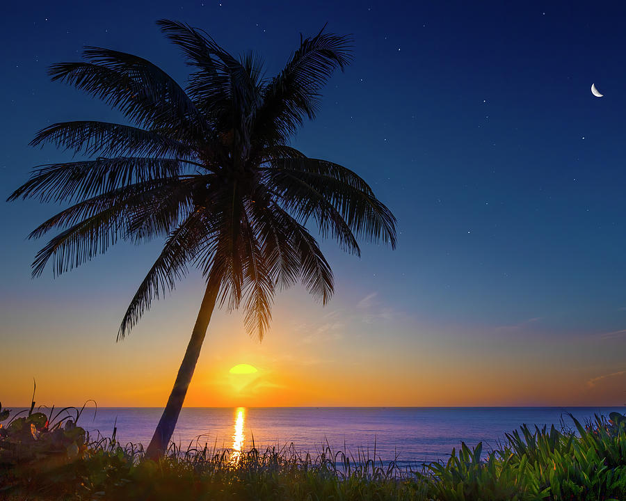 Fort Lauderdale Beach Sunrise Photograph by Mark Andrew Thomas
