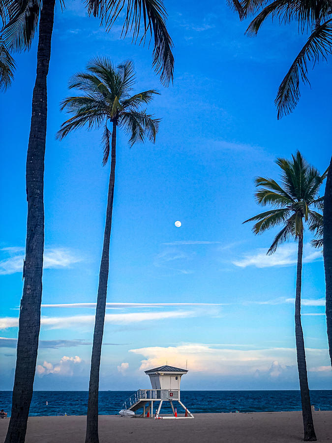 Fort Lauderdale Moon Photograph by Lisa Soots