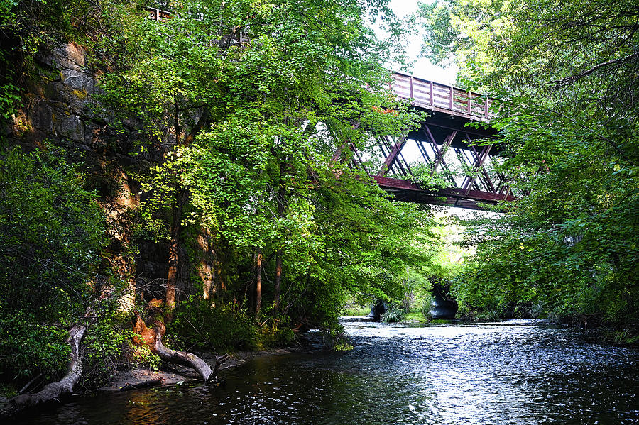 Fort River Trestle  Photograph by Steven Nelson