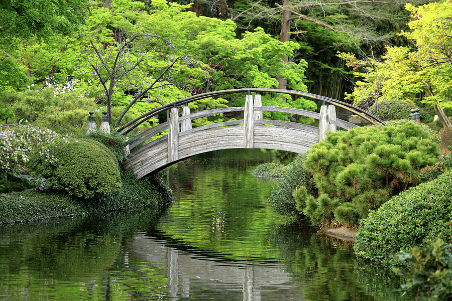 Fort Worth Botanic Garden Photograph by Adam Grim