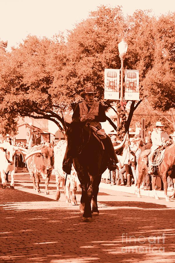 Fort Worth Cattle Drive Creative  Photograph by Carol Groenen
