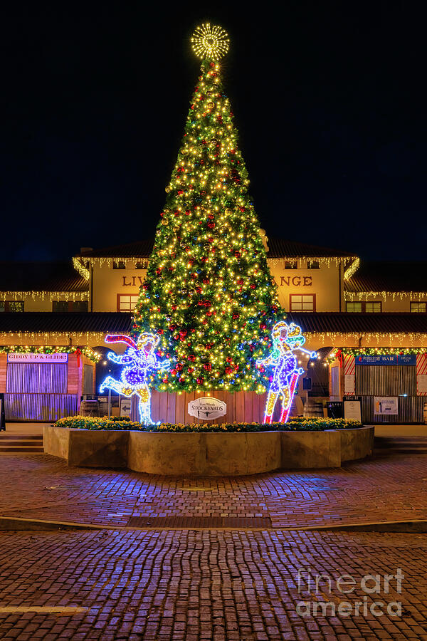 Fort Worth Stockyard Christmas Tree Vertical Photograph by Bee Creek Photography - Tod and Cynthia
