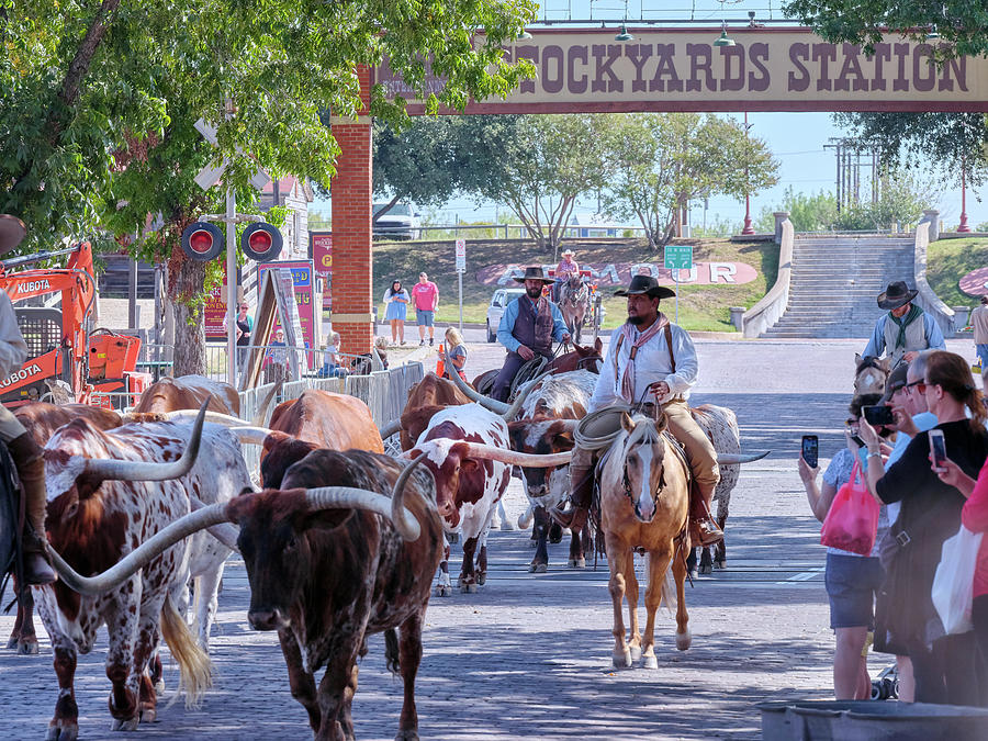 Fort Worth Stockyards 101320 Photograph by Rospotte Photography