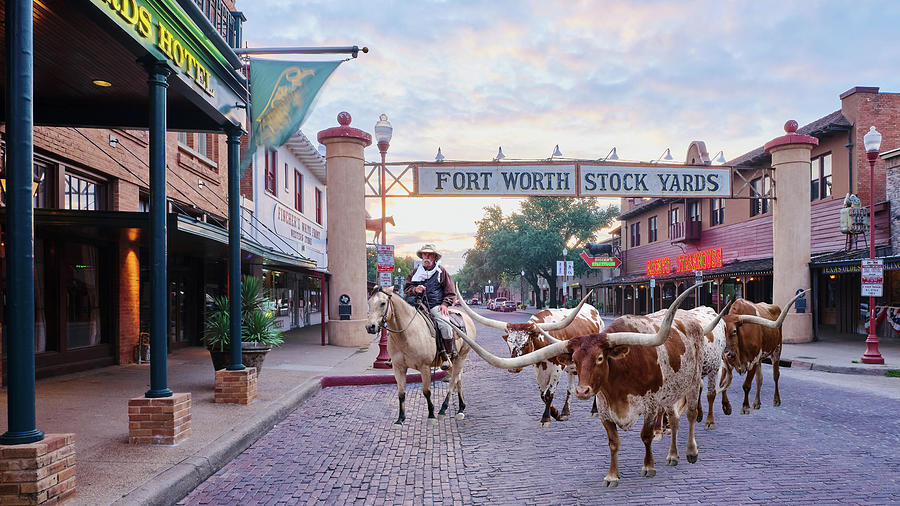 Fort Worth Stockyards The Herd Comp 1006 Photograph by Rospotte Photography