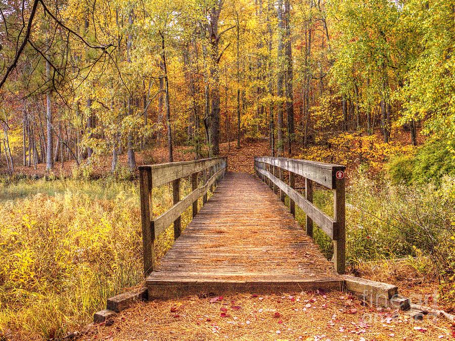 Fort yargo Wooden bridge Photograph by Charlene Cox - Fine Art America