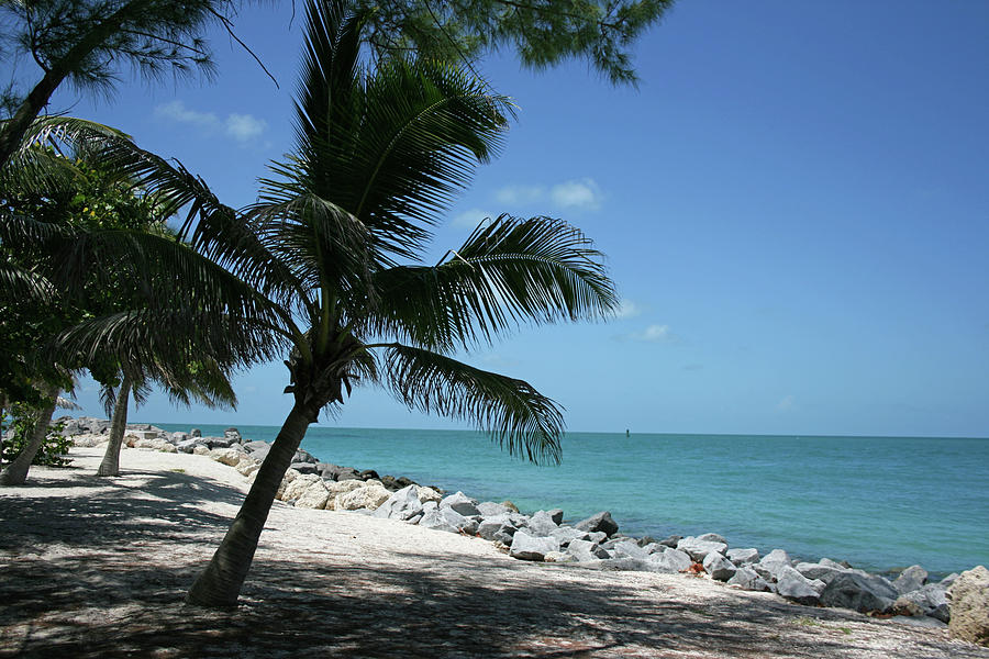 Fort Zachary Taylor Historic State Park Photograph by Cope Aesthetic ...