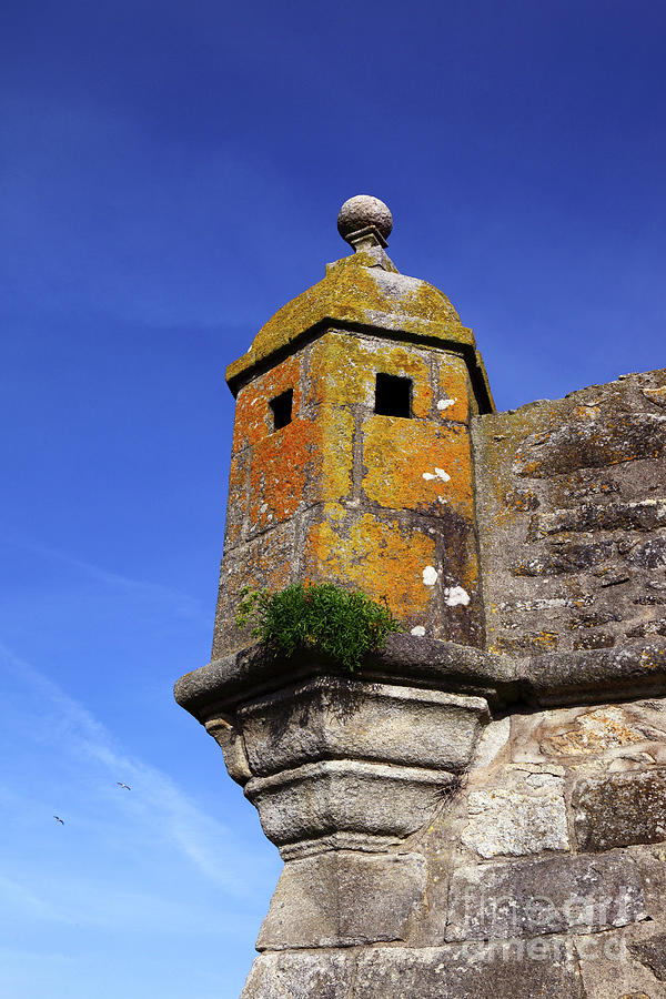 Forte de Ancora castle turret detail Portugal Photograph by James Brunker