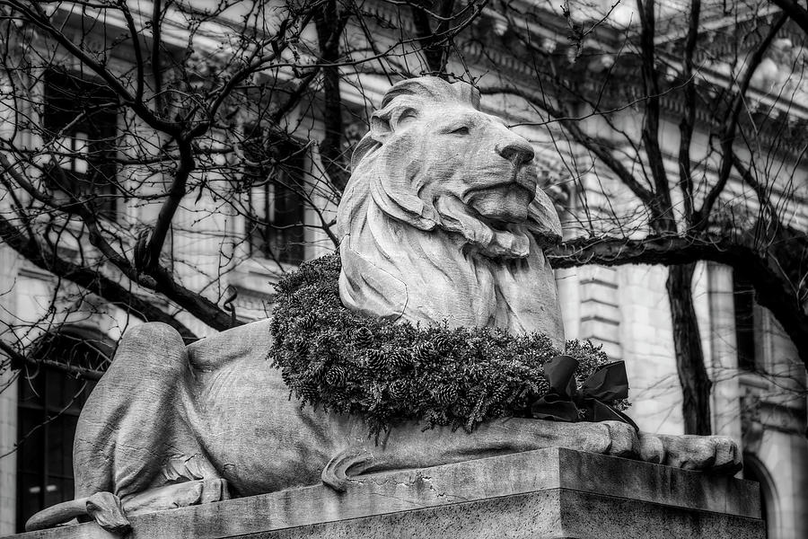 Fortitude Lion NYPL BW Photograph by Susan Candelario