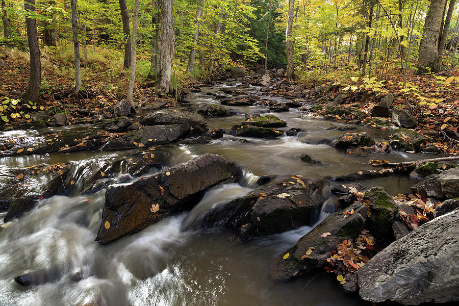 Fortune Creek in Gatineau Park Photograph by Michael Russell