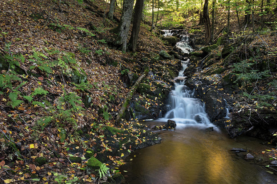 Fortune Falls in Gatineau Park Photograph by Michael Russell