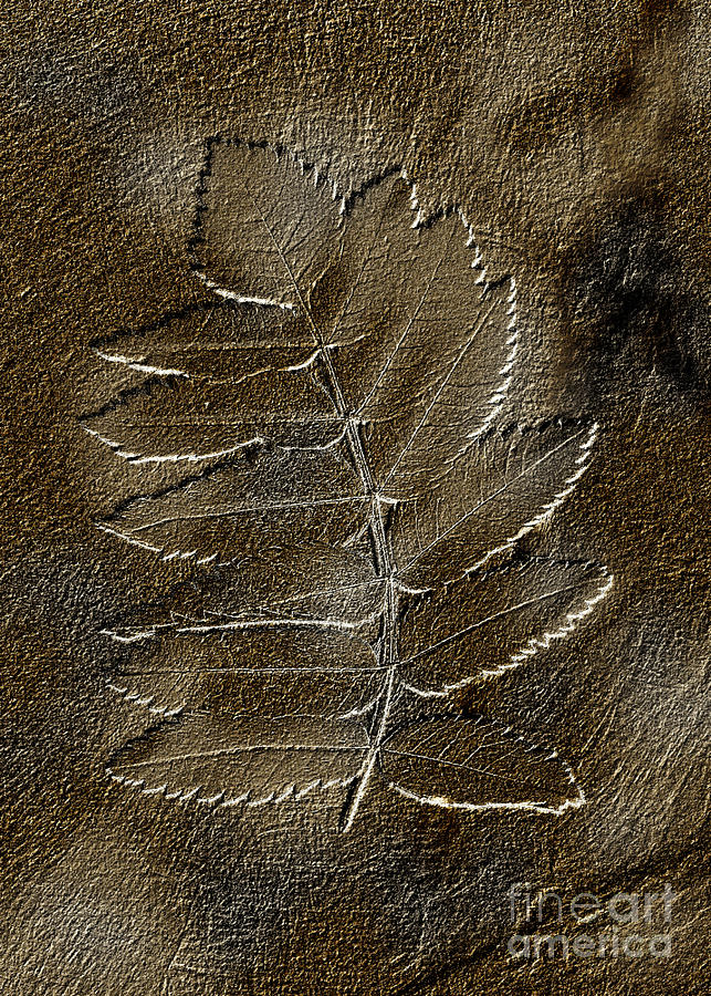 Fossil Faux Sandstone for Wall Prints Digital Art by Delynn Addams