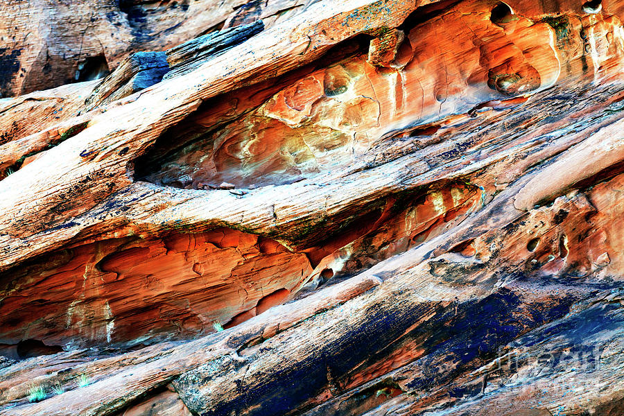 Fossilized at the Valley of Fire Photograph by John Rizzuto