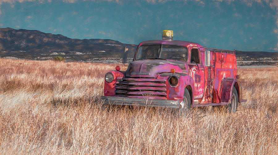 Found in a Field, Canon City Photograph by Marcy Wielfaert