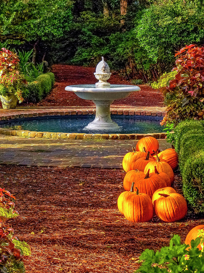 Fountain and Pumpkins at the Elizabethan Gardens 2010_001 Photograph by Greg Reed