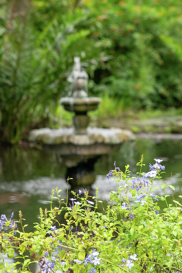 Fountain At Washington Oaks State Park Photograph