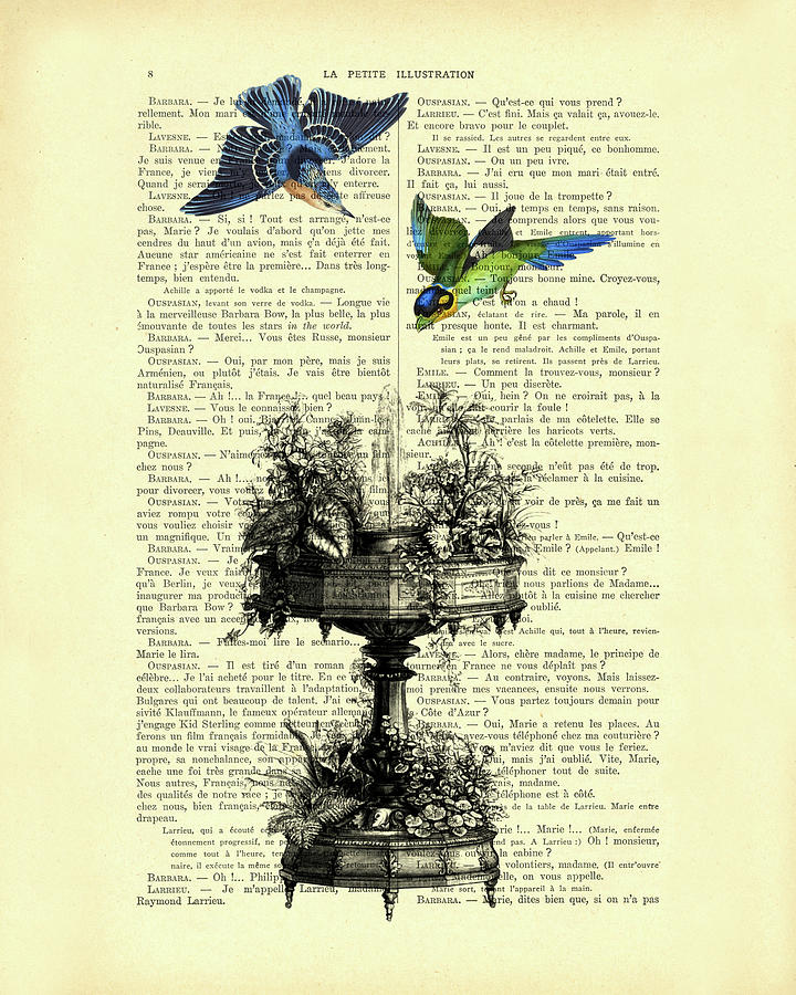 Bird Digital Art - Fountain Birds by Madame Memento
