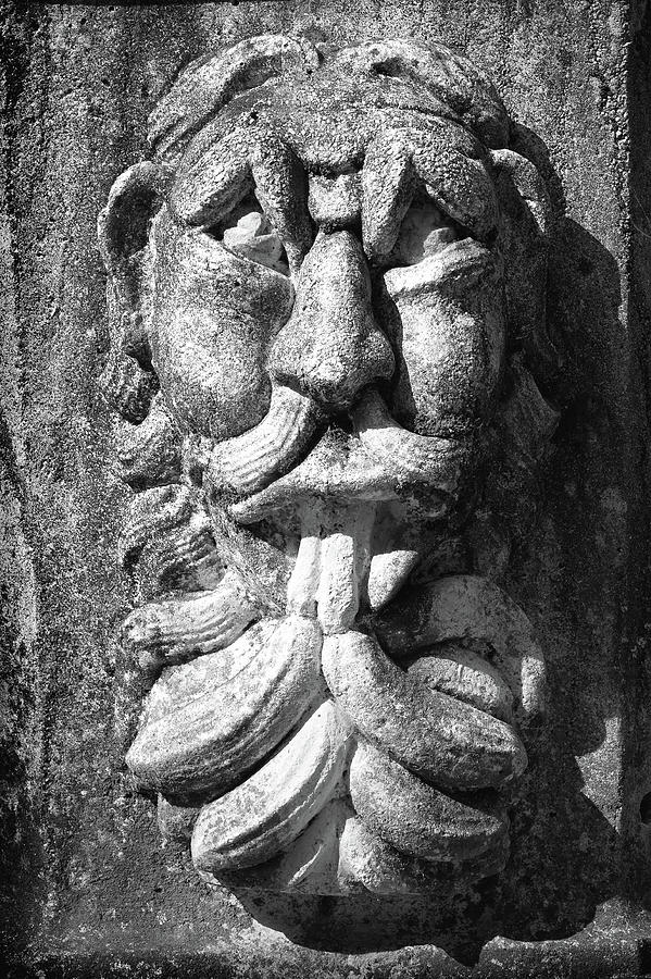 Fountain Face Photograph by Steven Nelson