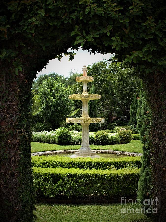 Fountain Framed in Ivy Photograph by Bob Johnson