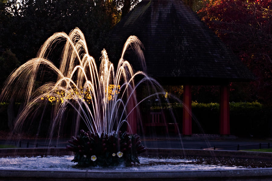Fountain Photograph - Fountain in Stephens Green - Dublin by Barry O Carroll