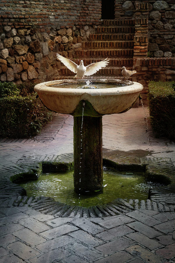 Fountain in the Alcazaba Photograph by Micah Offman