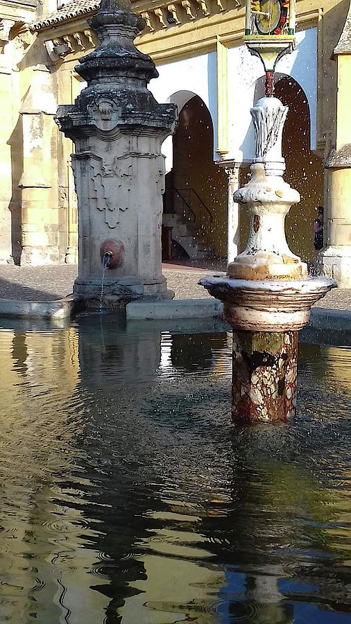 Fountain in the mosque of Cordoba. Spain Photograph by Carolina Prieto Moreno