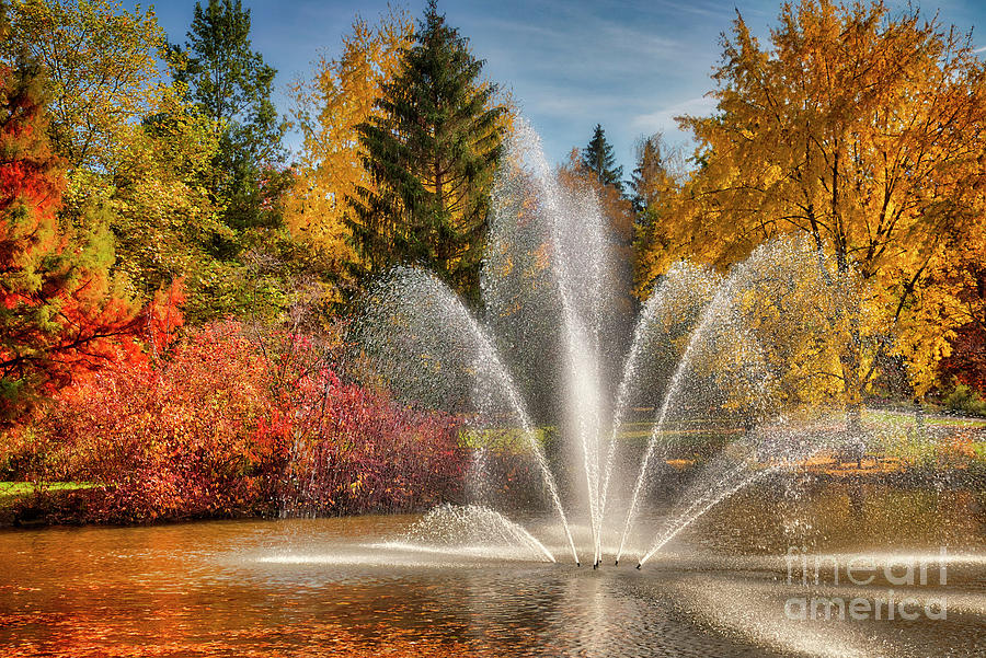 Fountain of Gold Photograph by Edmund Nagele FRPS