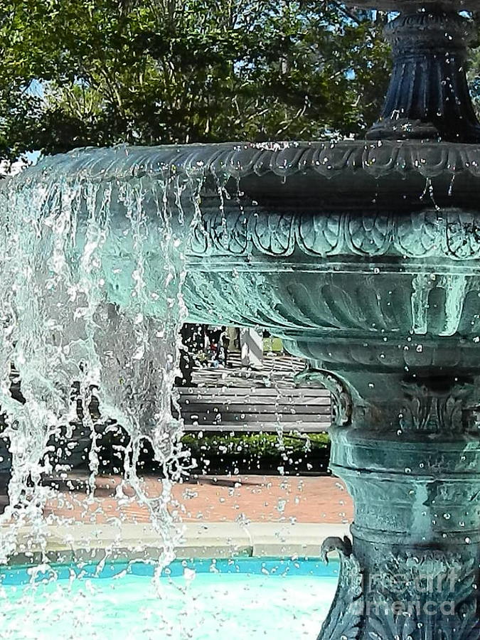 Fountain of Life Photograph by Tina M Powell - Fine Art America