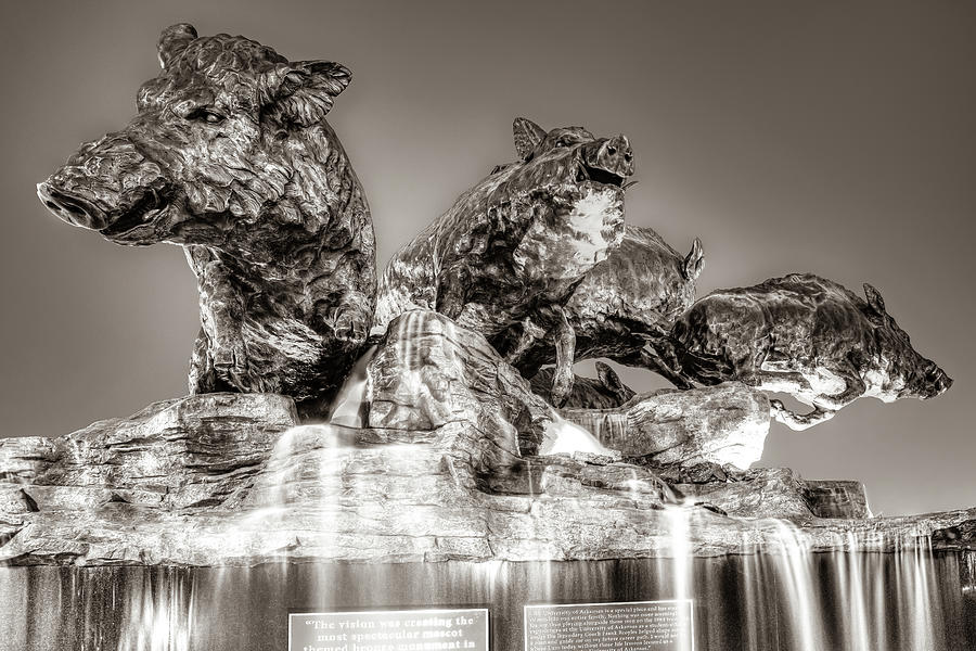 Fountain of Wild Razorbacks - Sepia Edition Photograph by Gregory Ballos