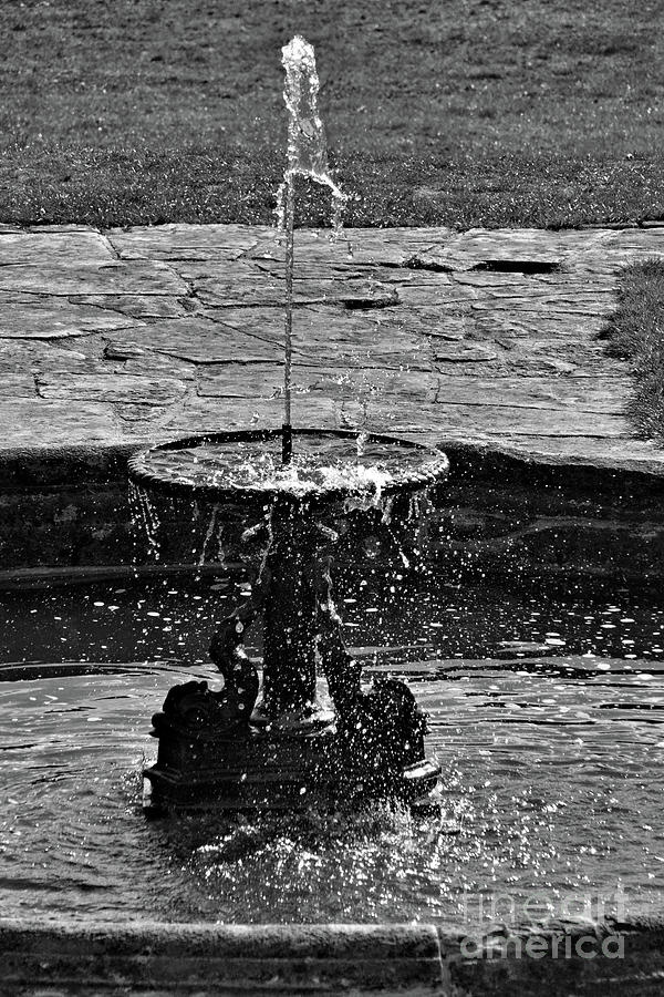 Fountain Photograph by Richard Denyer