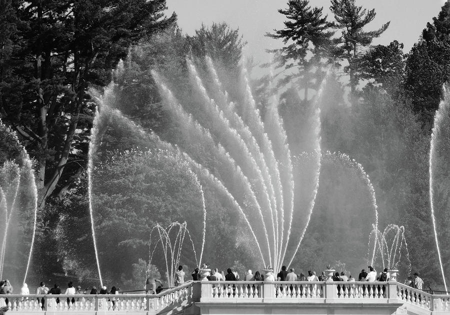 Fountain Show at Longwood Gardens bw Photograph by Emmy Marie Vickers