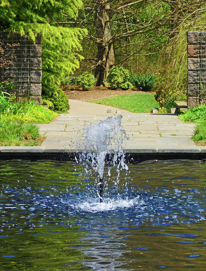 Fountain View at Brookside Gardens Photograph by Emmy Marie Vickers
