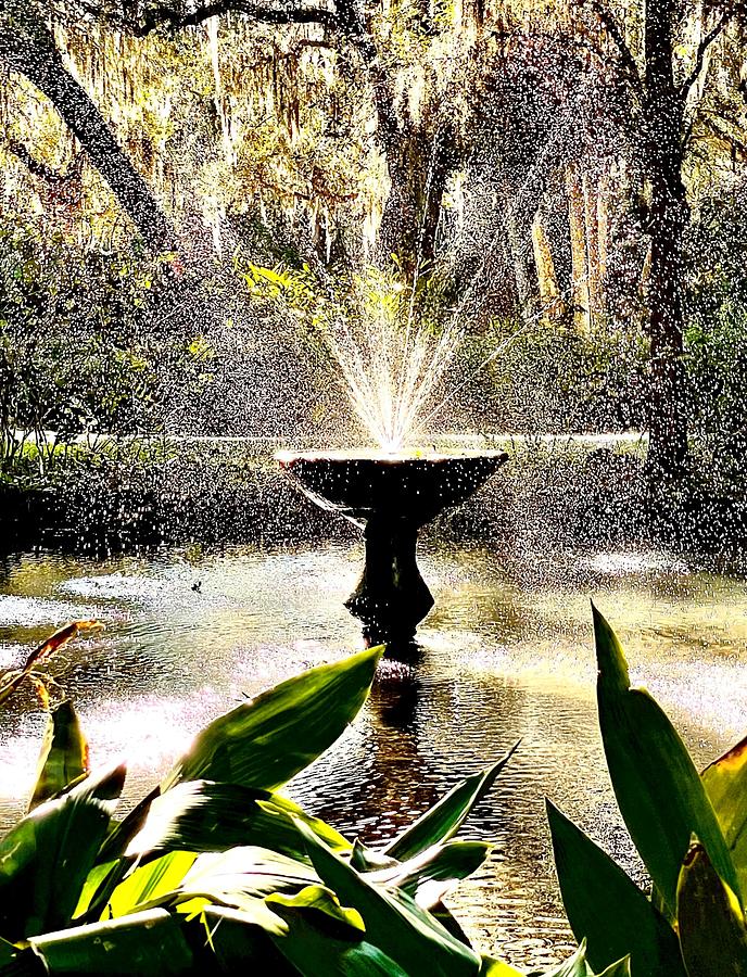 Fountains in the Sunny South Photograph by John Anderson