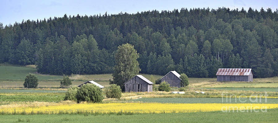 Barn Photograph - Four barns by Esko Lindell