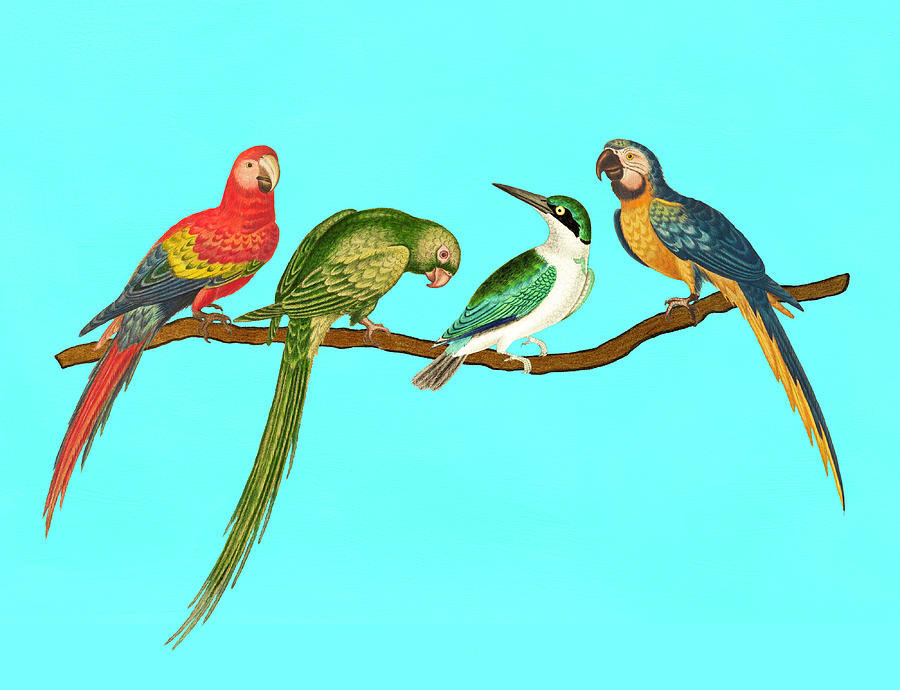 Four birds on a branch Mixed Media by Lorena Cassady