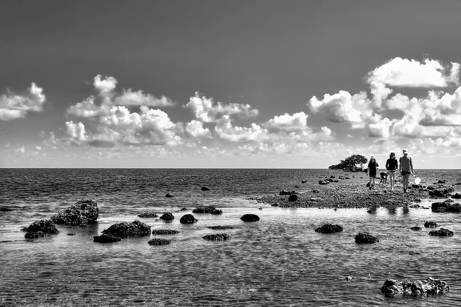 Four by the Seashore Photograph by Chrystyne Novack