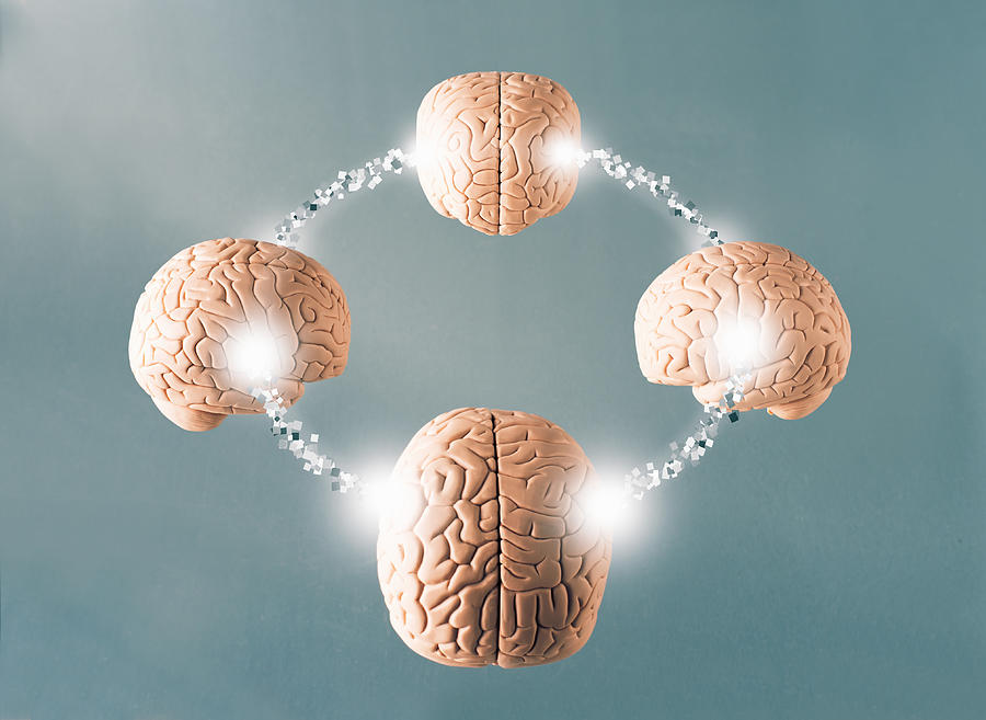 Four connected brains Photograph by PM Images