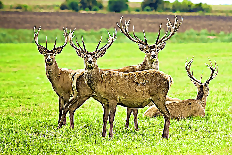 Four Deer on the Plains Digital Art by Wild Tropica - Fine Art America