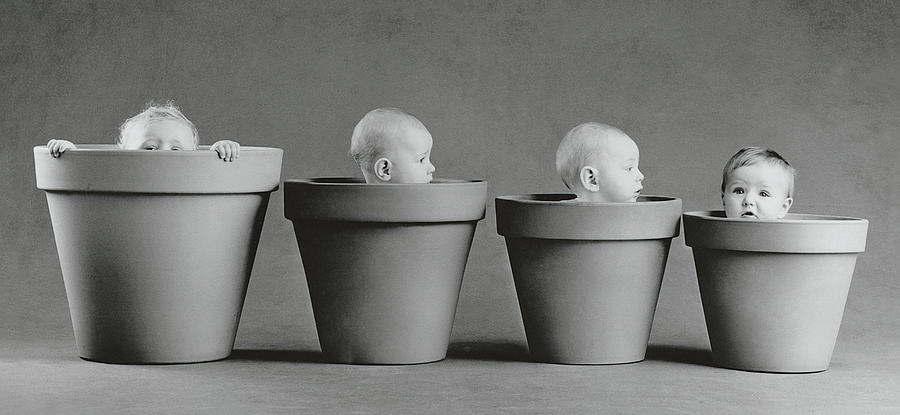 Black & White Photograph - Four Flower Pots by Anne Geddes