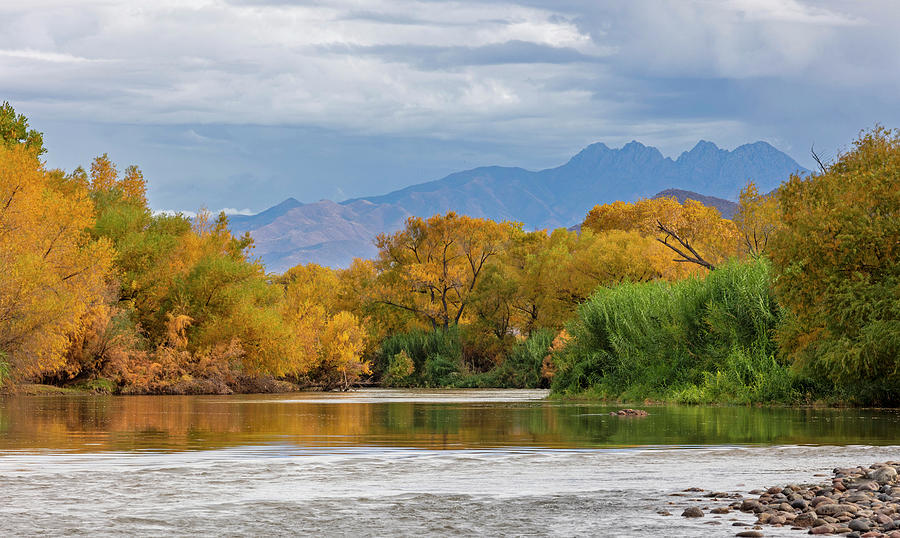 Four Peaks among Autumn Color Photograph by Sue Cullumber