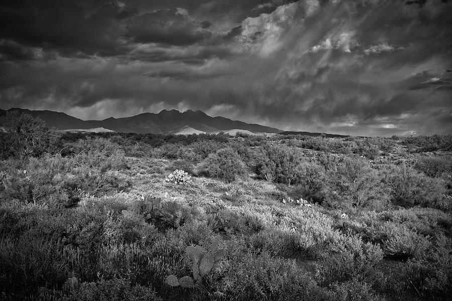Four Peaks Black and White Photograph by Chance Kafka