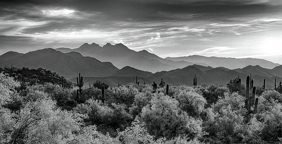 Four Peaks in Black and White Photograph by Dave Dilli