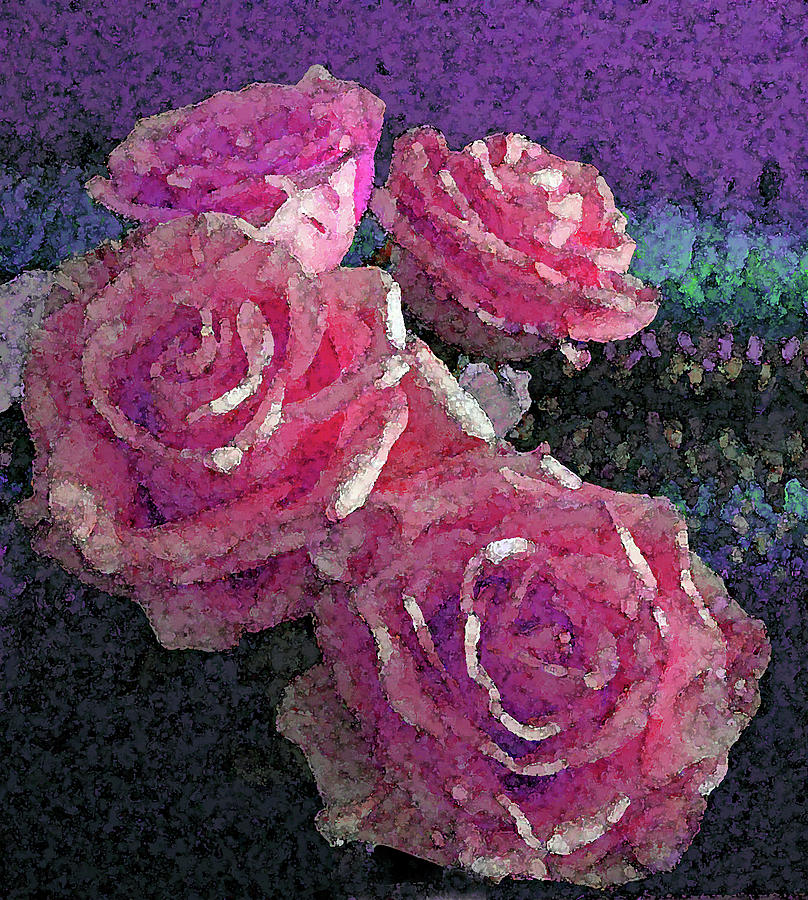 Four Pink Roses Photograph by Corinne Carroll