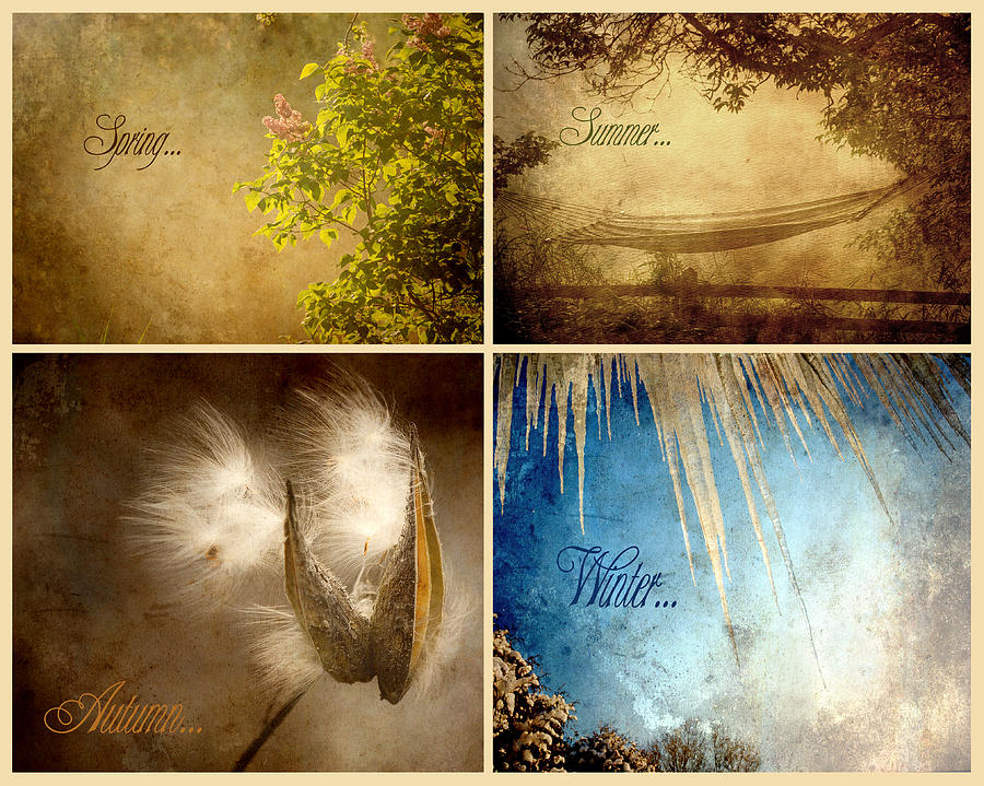 Four Season Collage. Photograph