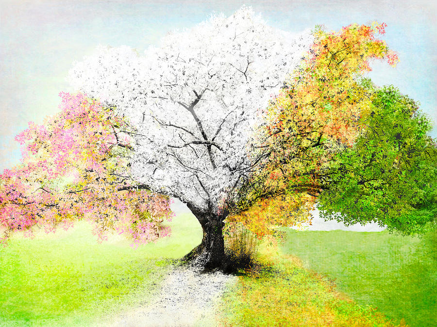 Four Seasons Tree Painting