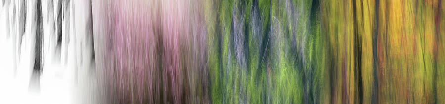 Four Seasons Abstract Photograph by Kristen Wilkinson